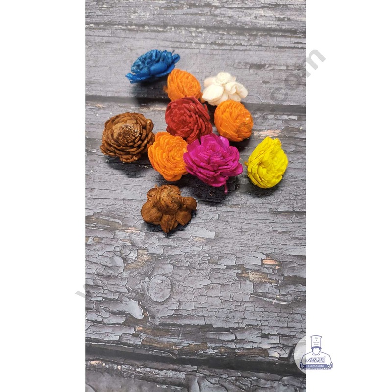 CAKE DECOR Sola Wooden Dried Rose For Decoration  Multi Color ( 10 pc pack )