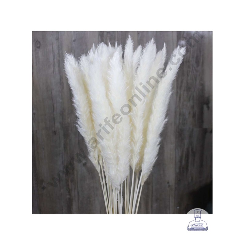 CAKE DECOR White Color Natural Dried Reed Plumes For Cake Decoration Bouquet Wedding Party Centerpieces Decorative  White (1 Stick)
