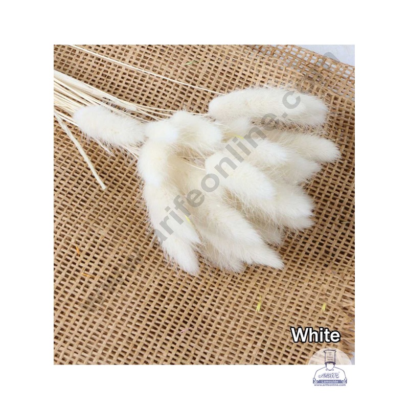CAKE DECOR White Color Natural Bunny Tails For Cake Decoration Bouquet Wedding Party Centerpieces Decorative  White ( 50 pcs pack)