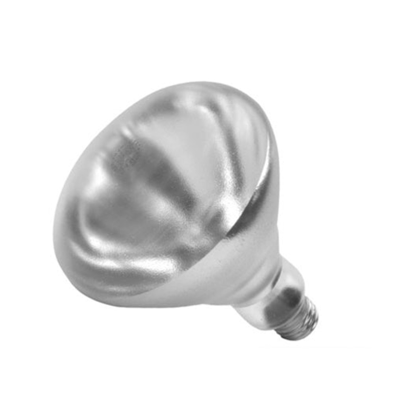 Shat-R-Shield Shatter-Resistant Incandescent Light Bulb, R40, 250W
