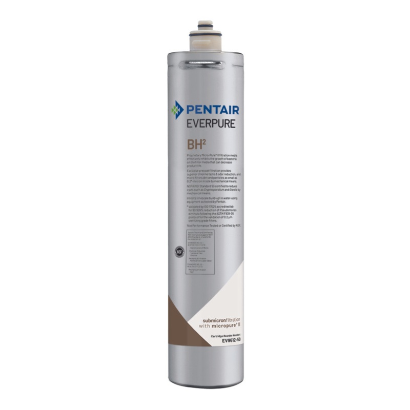 Pentair Everpure BH2 Filter Cartridge