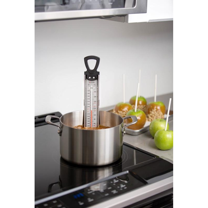 Taylor Candy/Deep Fry Tube Thermometer, Stainless Steel Paddle w Handle